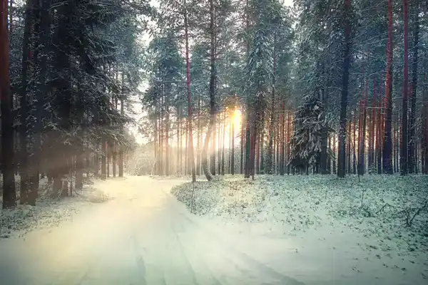 February(02.02)