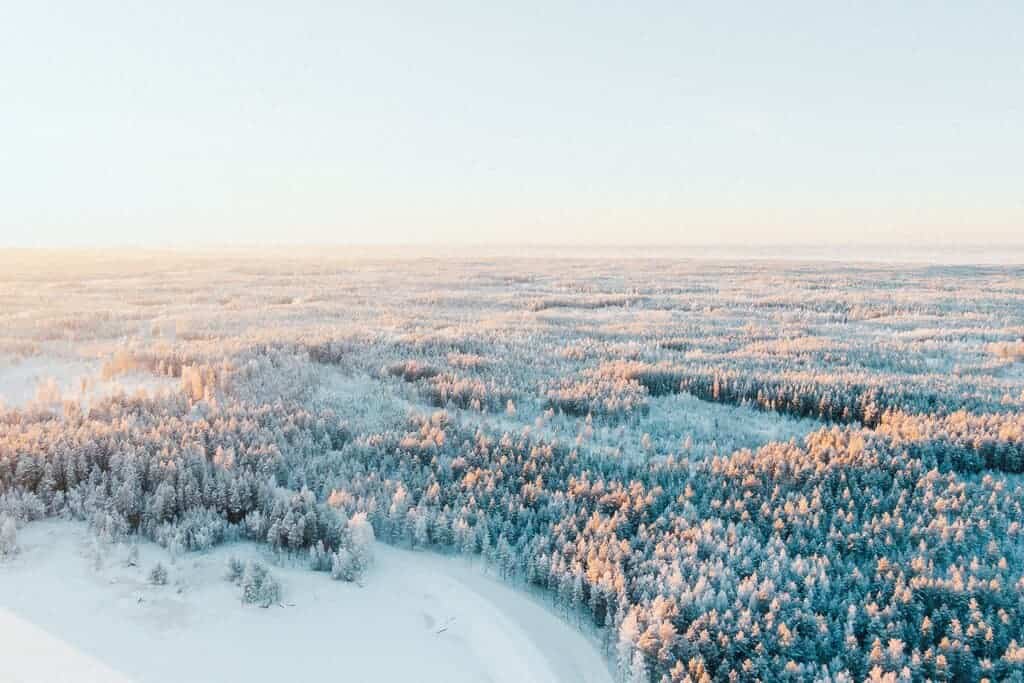 February(07.02)