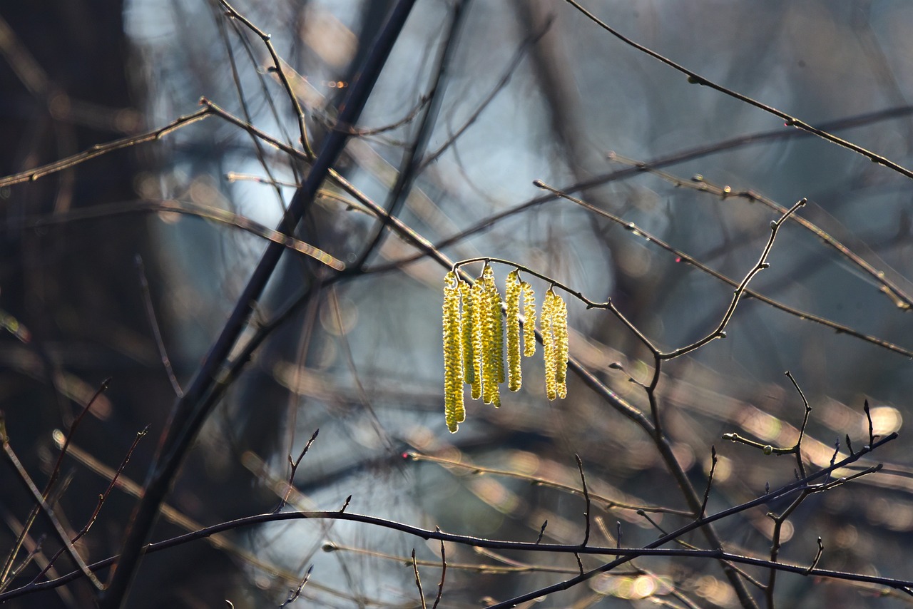 February(18.02)