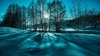 February(23.02)1