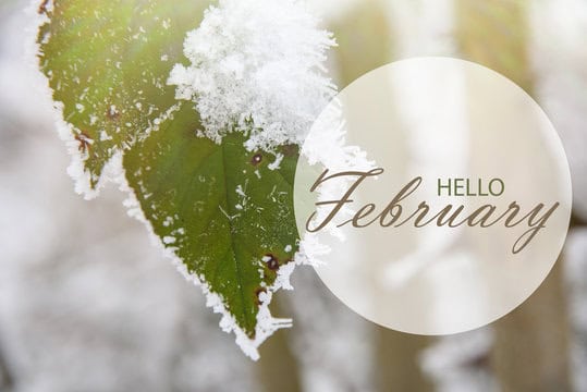 February(29.02)