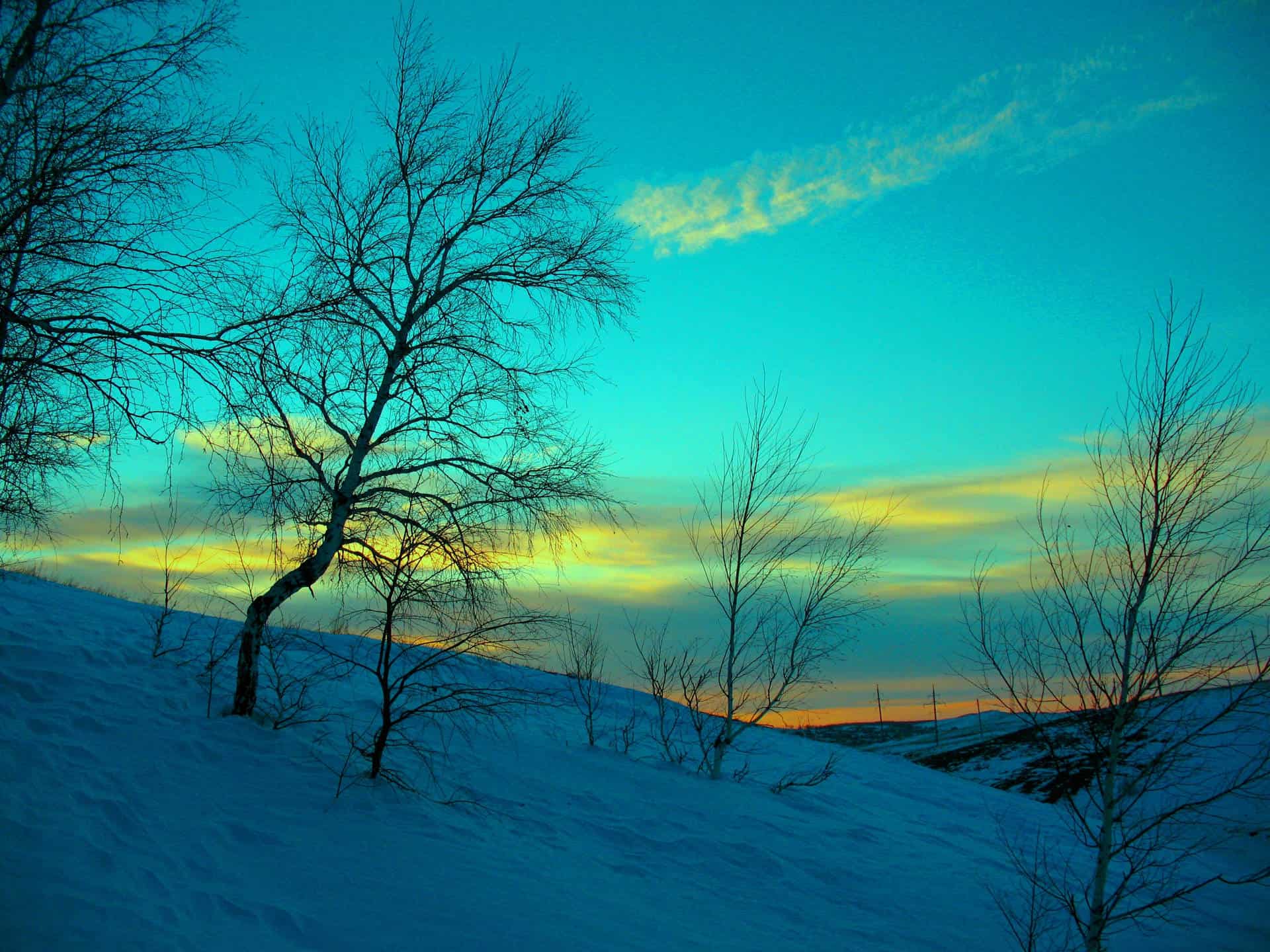 february(23.02)