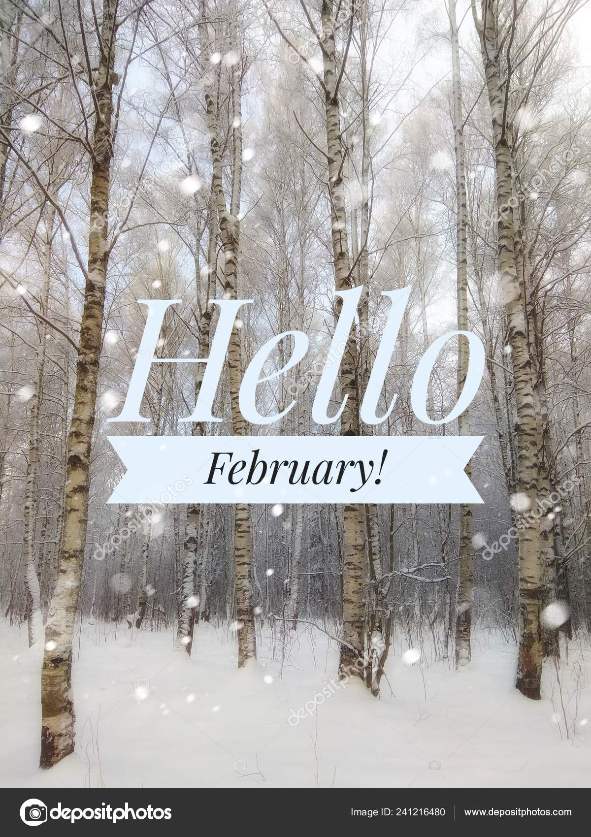 Hello February photo. The beginning of the New Year. Greeting card.