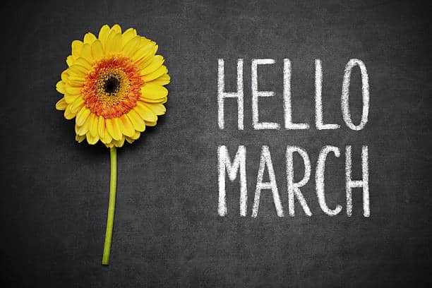 Gerbera and text ,,Hello March” writen on blackboard