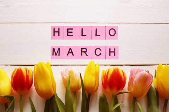 march(01.03)1