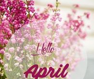 april(03.04)